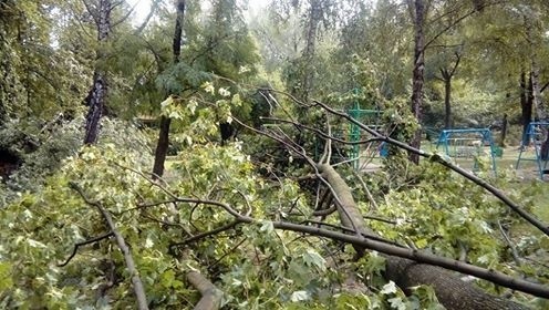 Burza w Łodzi. Nawałnica nad Łodzią. Powalone drzewa, gałęzie na drogach, zalane ulice [ZDJĘCIA]