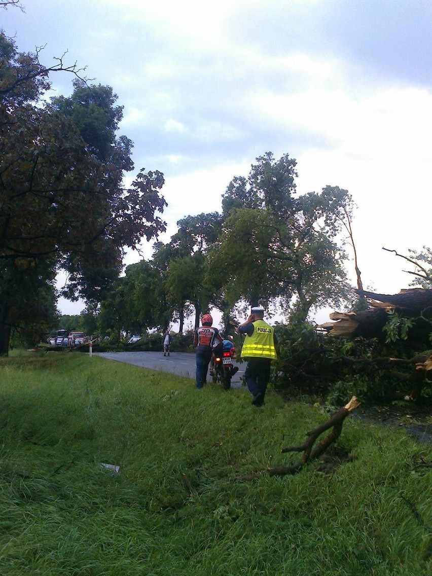Droga 17 Lublin - Warszawa była zablokowana. W Gończycach wiatr przewrócił drzewo 