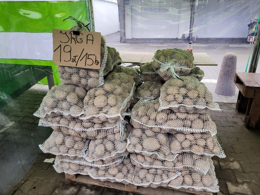 Ziemniaki prosto od rolnika. Ile kosztuje worek kartofli w marcu 2023? Ceny są zróżnicowane