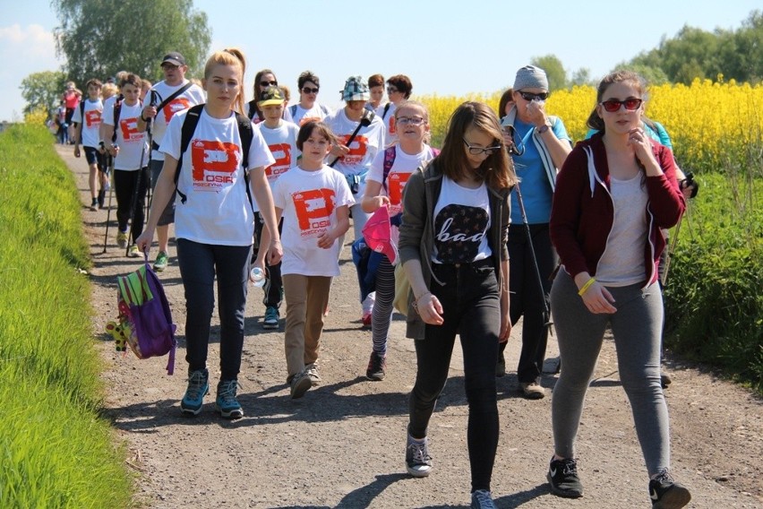 Pszczyna: Ponad 300 osób w Marszu Nordic Walking
