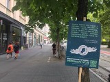 Młodzieżowy Strajk Klimatyczny dołącza do akcji obrony drzew na ul. 27 Grudnia. "Za kilka lat Poznań będzie nie do życia" [ZDJĘCIA]