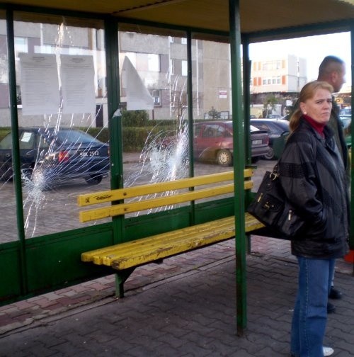 Tak wyglądają wiaty autobusowe w Policach.