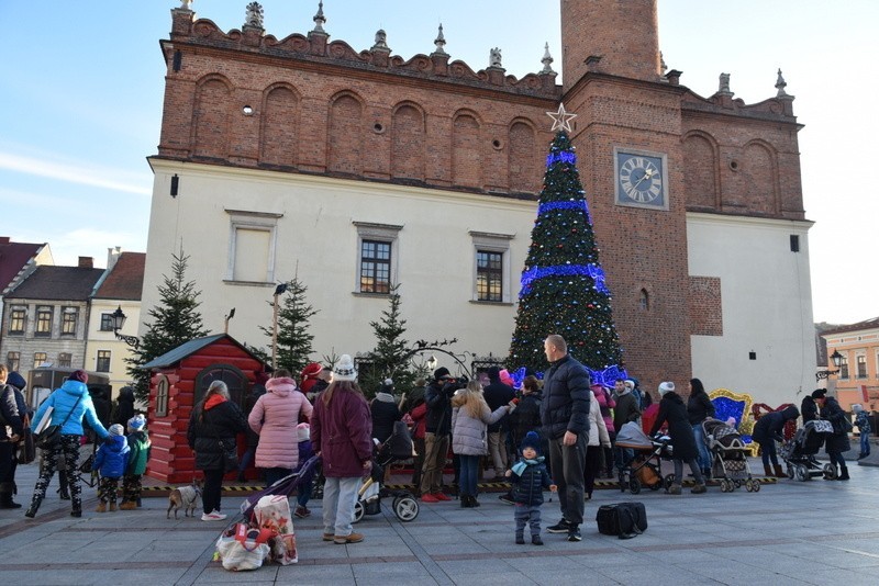  Święty Mikołaj i renifery robią furorę na Rynku w Tarnowie. Dzieci są zachwycone