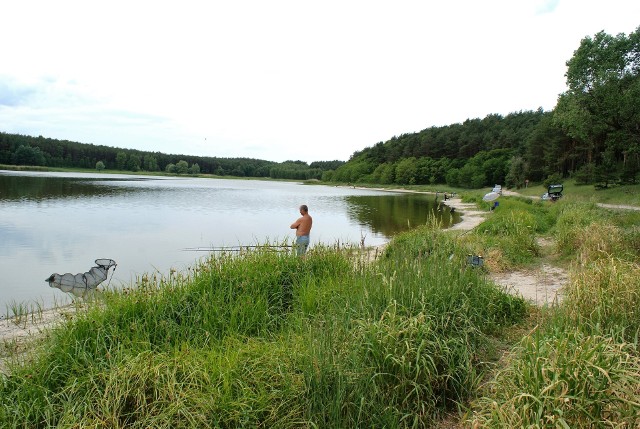 Jezioro Nowe w Suchatówce