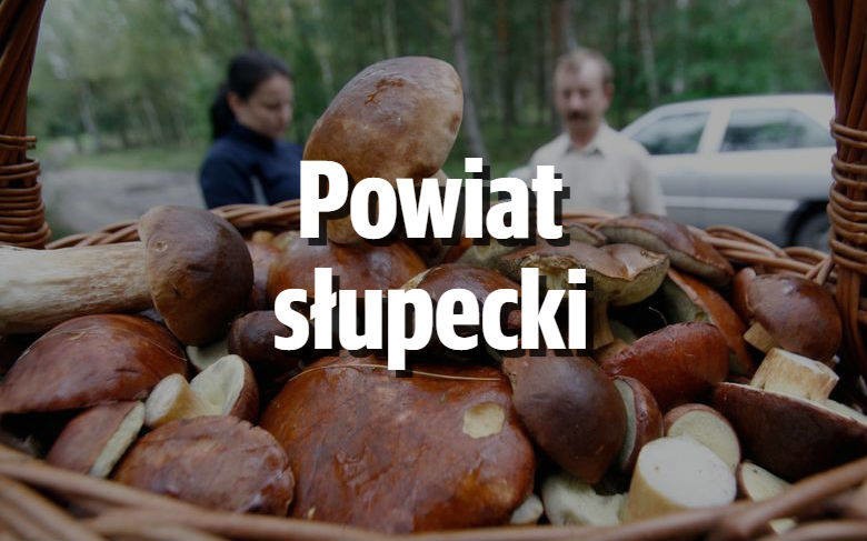 Powidz...