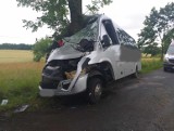 Poważny wypadek koło Połczyna-Zdroju. To cud, że nikt nie zginął [ZDJĘCIA]
