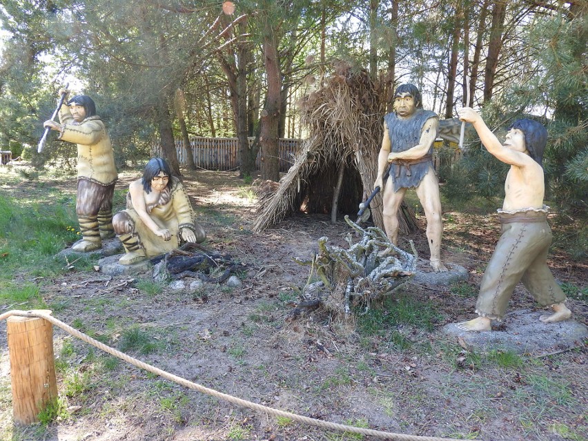 Jurajski Park Dinozaurów (Muzeum Dziejów Ziemi) w Jurowcach...