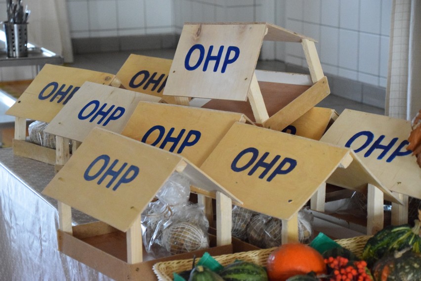 Młodzież z Ośrodka Szkolenia i Wychowania OHP w Wasilkowie przygotowała karmniki i kule dla ptaków. Trafią do mieszkańców (zdjęcia)