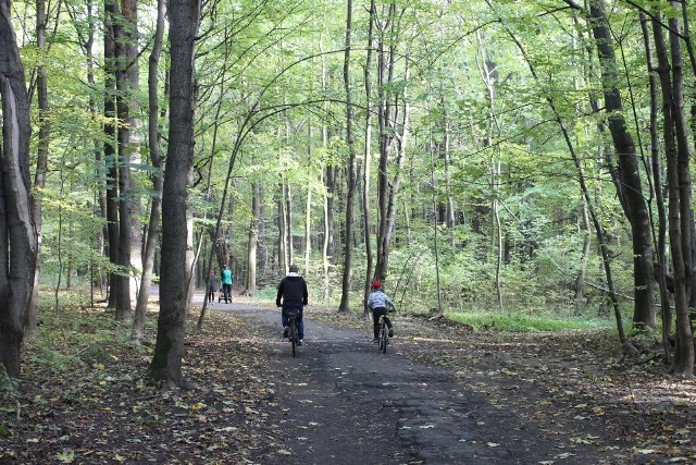 Park Repecki w Tarnowskich Górach zachwyca jesienną porą. Zobacz kolejne zdjęcia. Przesuwaj zdjęcia w prawo - naciśnij strzałkę lub przycisk NASTĘPNE >>>