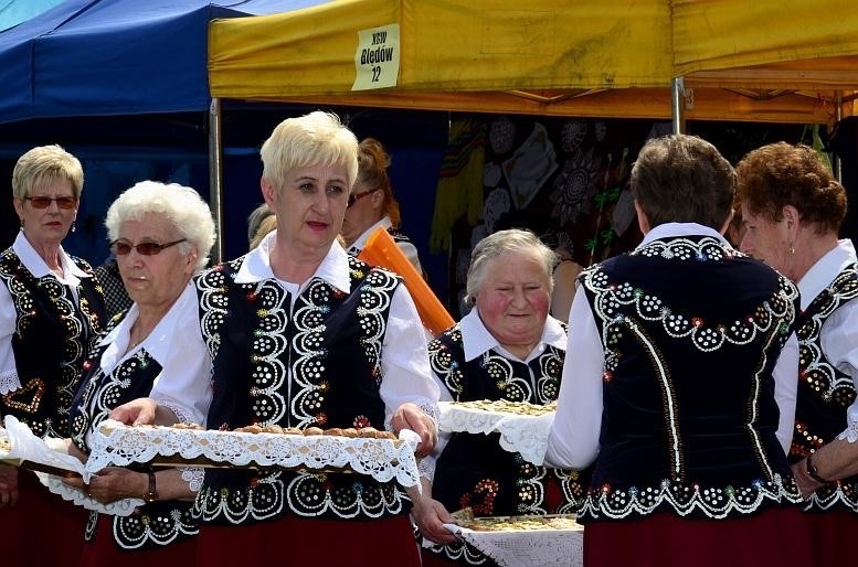 Festyn folklorystyczny w Dąbrowie Górniczej-Błędowie