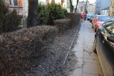 Zniszczony trawnik, nieuprzątnięte liście i niebezpieczne przejście. Mieszkańcy ulicy Wspólnej w Kielcach czują się zapomniani