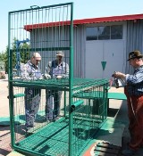 Co zrobić z klatką dla opolskiej pumy?