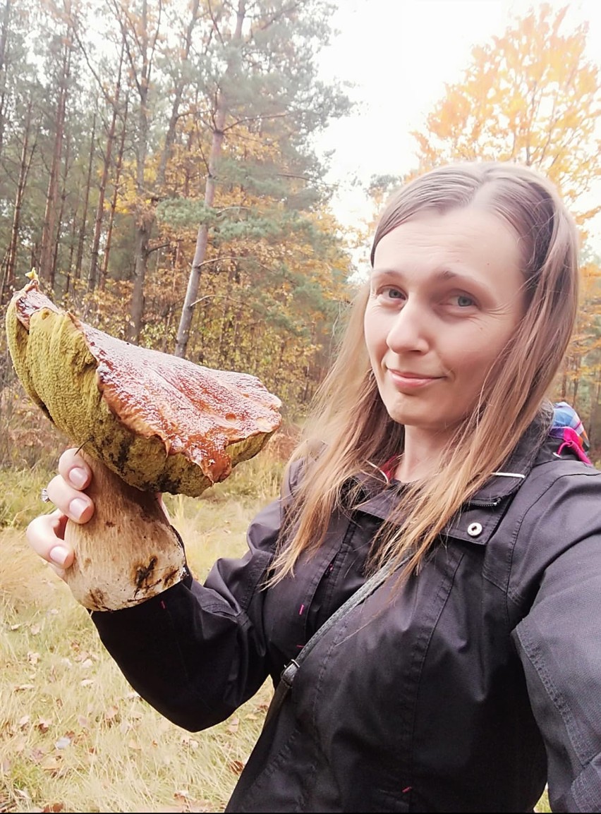 Gdzie w regionie radomskim warto udać się na grzybobranie?...