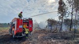 "Pogoda nam sprzyja". Polscy strażacy walczą we Francji z pożarami