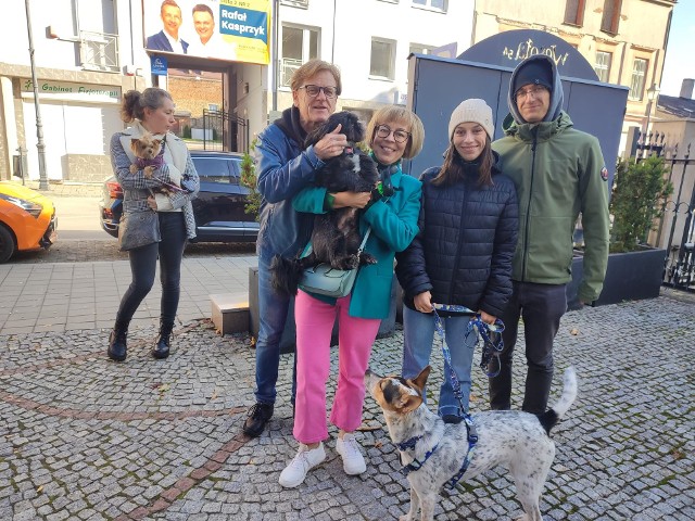W Centrum Duszpasterstwa Akademickiego przy ulicy Wesołej w Kielcach błogosławiono zwierzęta w niedzielę, 8 października, ponieważ obchodzono Dzień Świętego Franciszka z Asyżu, patrona zwierząt. Zobacz zdjęcia.