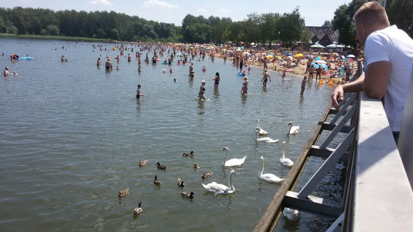 Dąbrowa Górnicza: Na plaży nad Pogorią III prawdziwe tłumy ZDJĘCIA