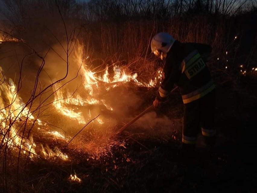 Zarzucają strażakom z OSP Buszkowice pod Przemyślem, że druhowie sami podpalają trawy. "Chcielibyśmy zaprzeczyć temu oszczerstwu"