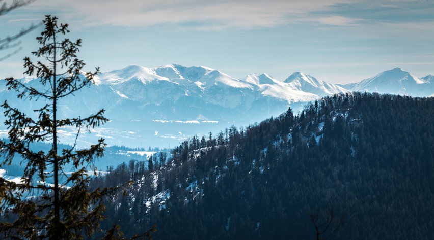 Widok ze Szczebla na Tatry