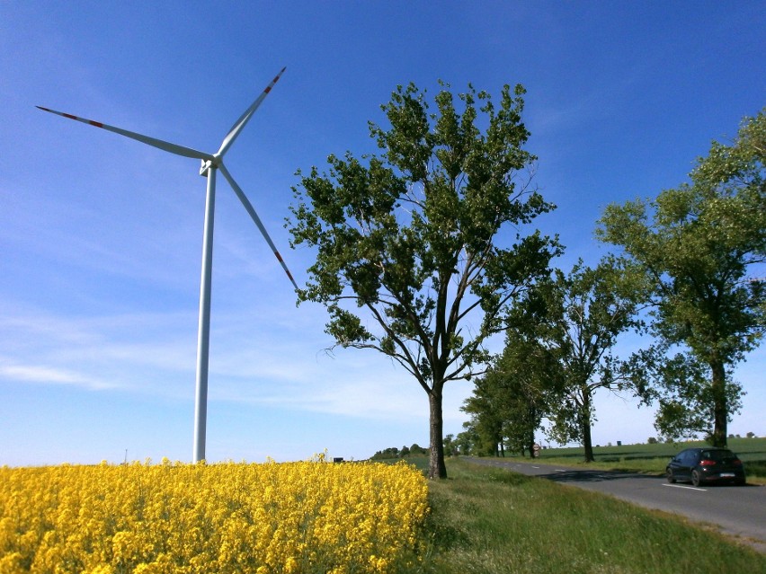 Duża farma wiatrowa Kostomłoty powstała tuż przy...