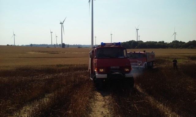 W Pieńkowie spłonęło ok. 15 hektarów zboża [ZDJĘCIA]Pożar zboża w Pieńkowie