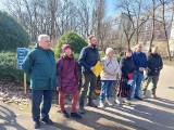 Rewitalizacja Plant w Białymstoku. Społecznicy sprzeciwiają się wycince żywotników w Alei Zakochanych. Zbierają podpisy w obronie tui
