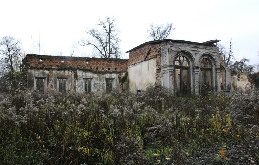 Ruiny dworu w Biórkowie Wielkim