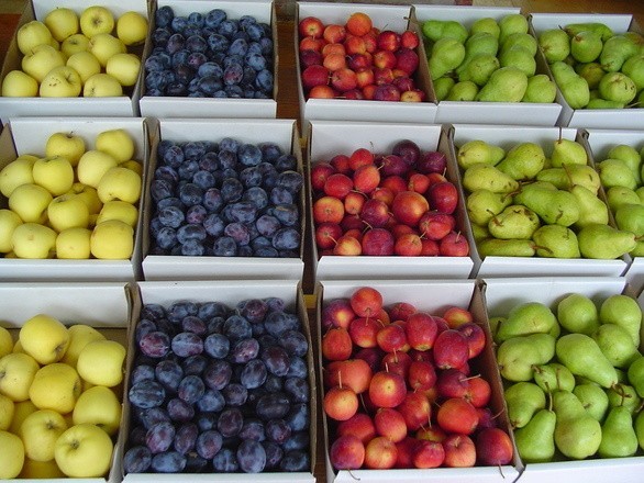 Ceny owoców i warzyw poszybowały w górę, a może być jeszcze drożej