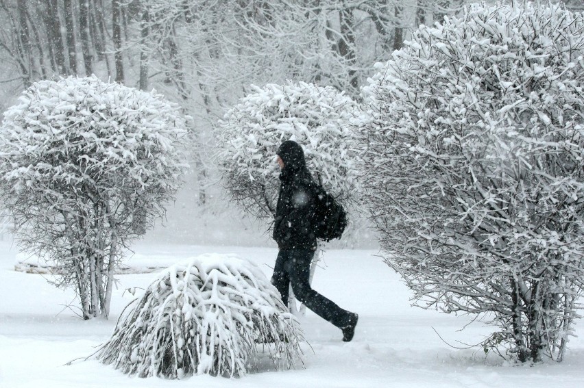 Czekają nas silne mrozy. Temperatura spadnie do - 18 st. Celsjusza [PROGNOZA POGODY]