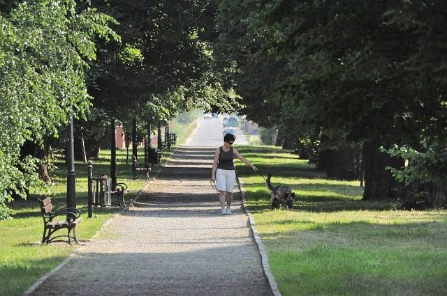 Aleja Lipowa w osiedlu Dzików to ulubione miejsce spacerów dla wielu mieszkańców Tarnobrzega.