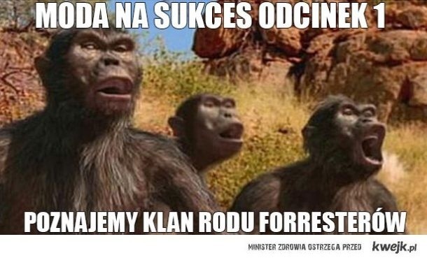 Moda na sukces MEMY