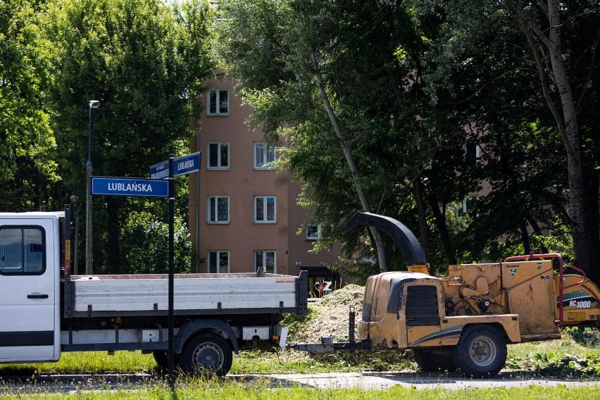 Kraków. Budowa linii tramwajowej do Mistrzejowic. Wycięto prawie 700 drzew. Wkrótce duże utrudnienia na rondzie Polsadu