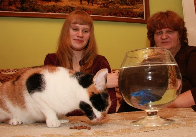 Joasia i Danuta Tywanek zgodnie zapewniają, że ich kotka Zuzia i rybka Pływak tworzą zgrany duet