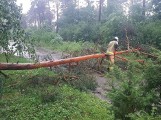 Burza nad Radomskiem i powiatem radomszczańskim. Interweniują strażacy 14.07.2021