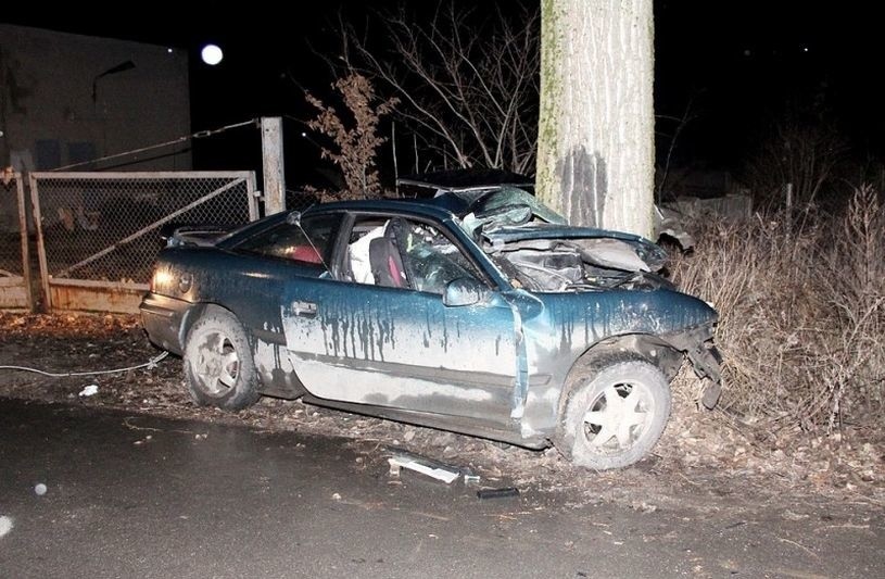 Opel wbił się w drzewo [ZDJĘCIA]