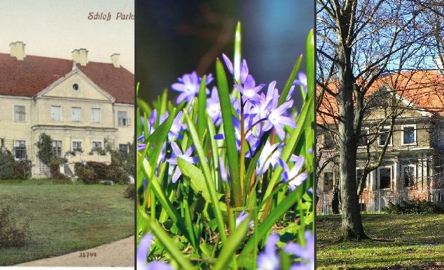 Przypałacowy park w niemieckim Unruhstadt i w polskiej Kargowej.