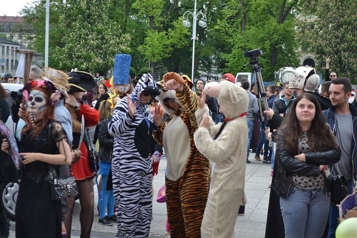 Juwenalia w Częstochowie zostały oficjalnie rozpoczęte....