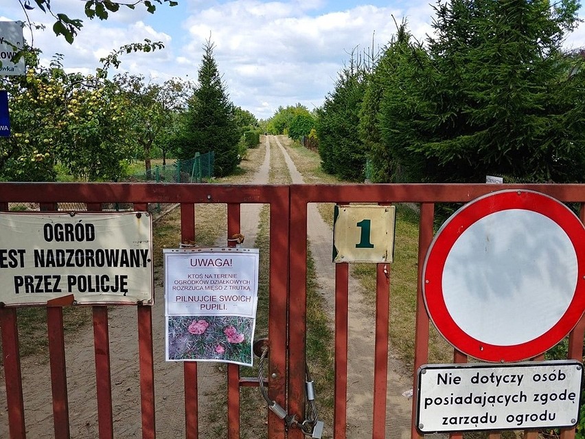 Rodzinny Ogród Działkowy "Jaroszówka" to idealne miejsce do...