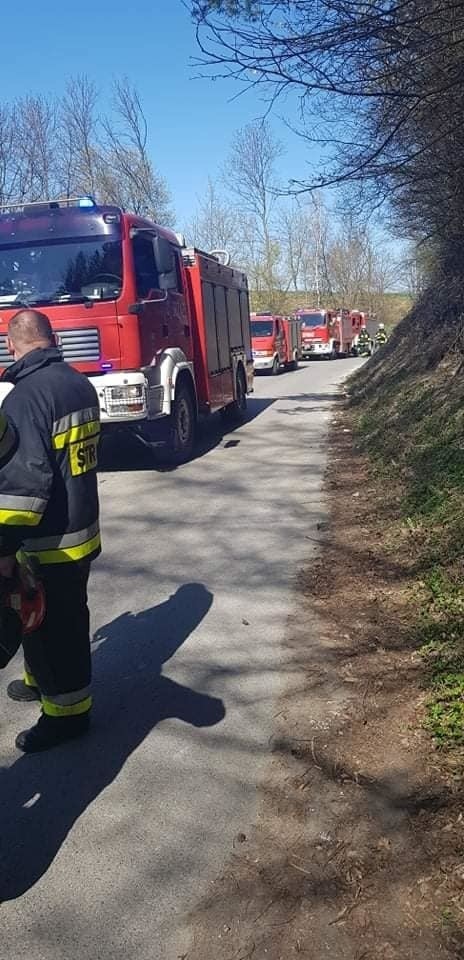 W Zerwanej zagubił się 13-latek. Został odnaleziony w lesie