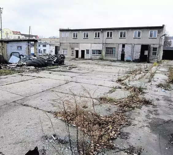 Budynki przy Niedziałkowskiego są zdewastowane i zawilgocone. Znaleziono w nich dokumentację upadłej firmy