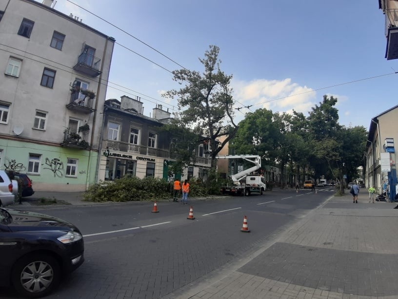 Zamknięty fragment Lubartowskiej w Lublinie. Robotnicy usuwają zniszczone konary drzewa. Zobacz zdjęcia