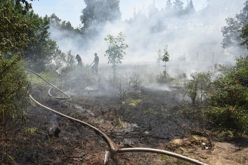 Statystyki wypalania traw. Spłonęło prawie 239 hektarów użytków rolnych w Kujawsko-Pomorskiem