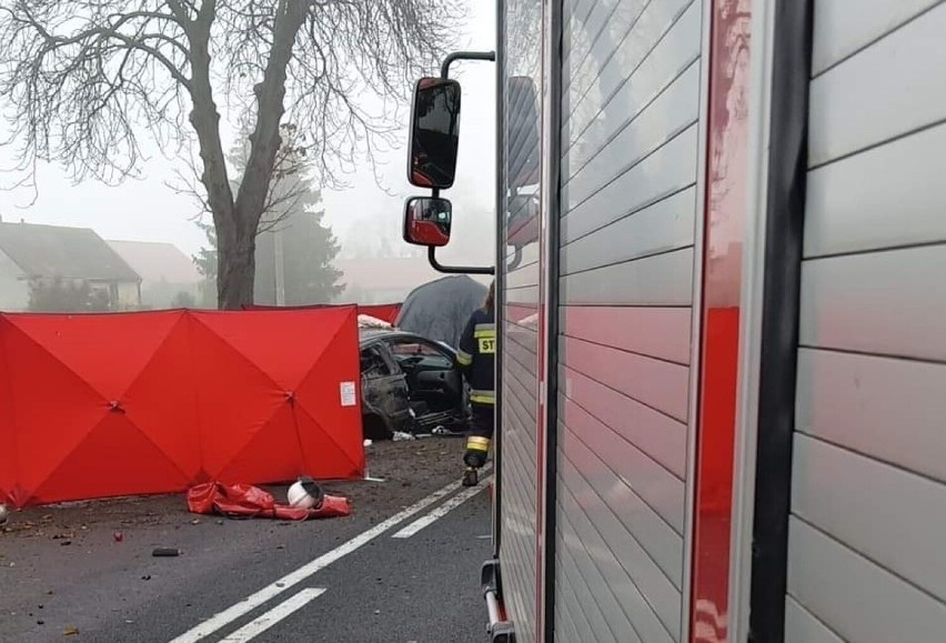 Śmiertelny wypadek na trasie Pniewy-Tarnowo Podgórne, między...