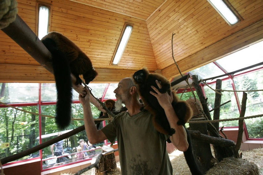 Śląski Ogród Zoologiczny od kuchni