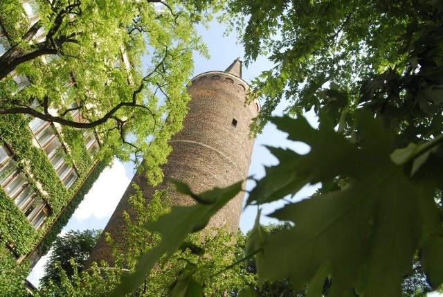 Wieża Piastowska w Opolu.