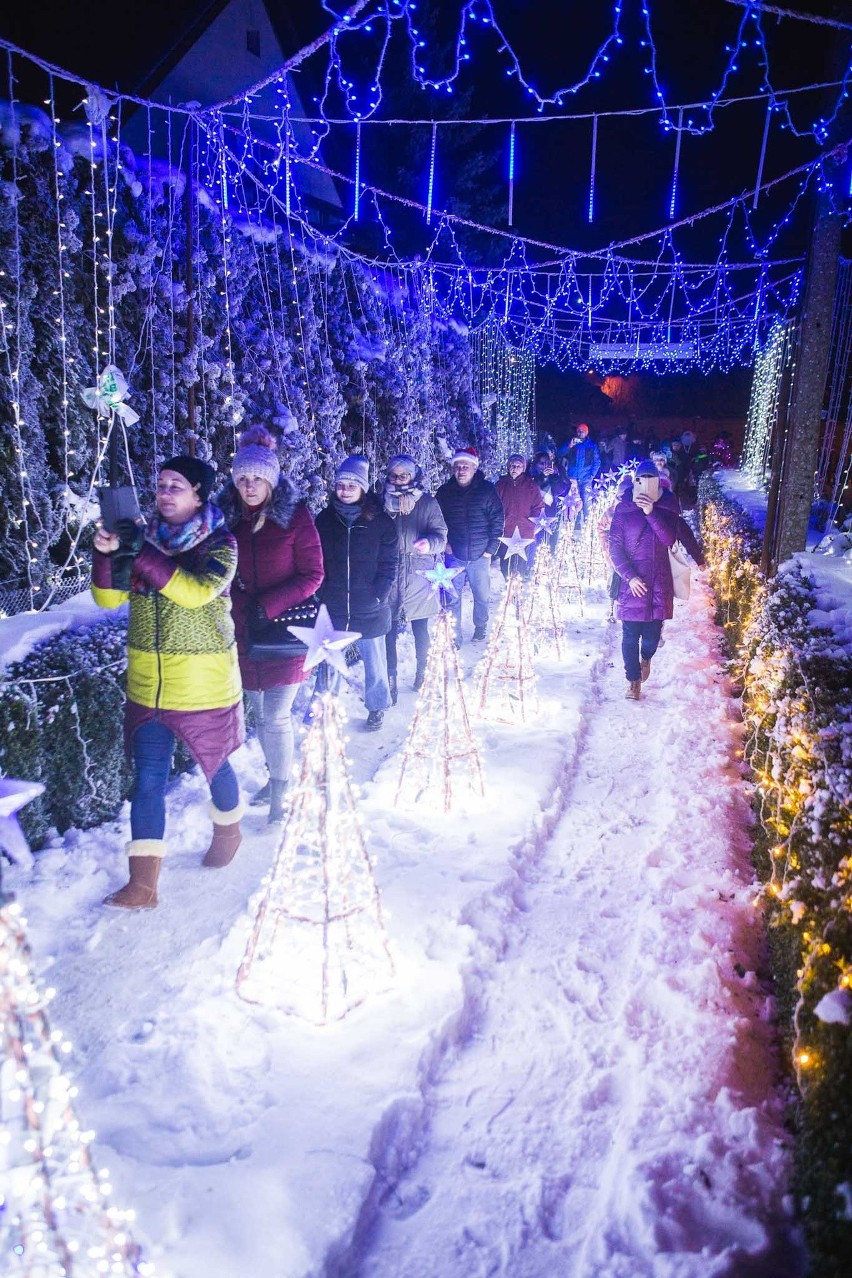 Iluminacje świąteczne w Damnicy