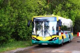 Ostrołęka. MZK zwiększa liczbę kursów. Od 25 maja autobusy będą kursowały według rozkładu jazdy sprzed pandemii