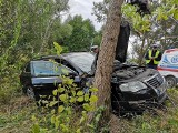 Ublik: Wypadek w powiecie piskim. Samochód osobowy uderzył w przydrożne drzewo [ZDJĘCIA] 16.09.2019