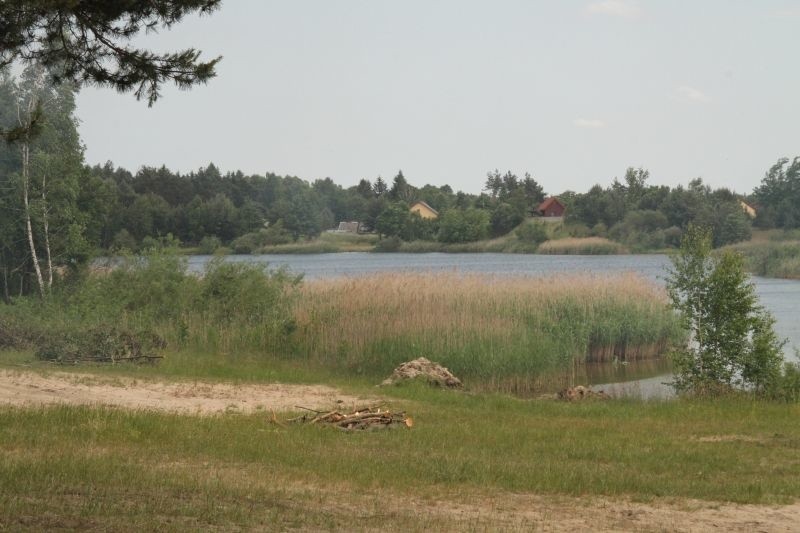 Porządkowanie terenu nad zalewem w Bolminie