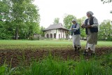 W Muzeum Wsi Lubelskiej będą rosły konopie. Zobacz zdjęcia