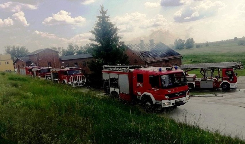 Pożar domu w Uradzie wybuchł w środę, 5 czerwca, o godzinie...